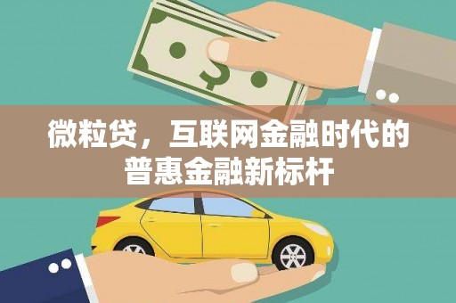 新屋微粒贷，互联网金融时代的普惠金融新标杆