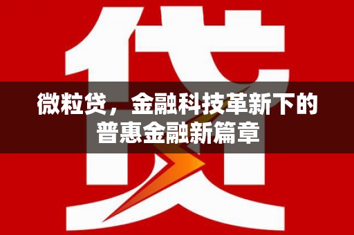 新屋微粒贷，金融科技革新下的普惠金融新篇章