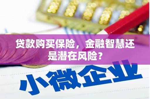 新屋贷款购买保险，金融智慧还是潜在风险？