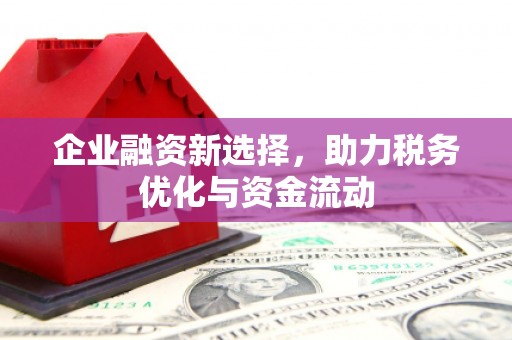 新屋企业融资新选择，助力税务优化与资金流动