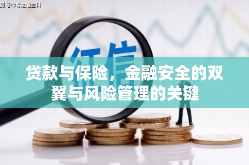 新屋贷款与保险，金融安全的双翼与风险管理的关键