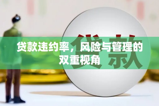 新屋贷款违约率，风险与管理的双重视角