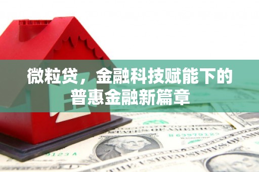 新屋微粒贷，金融科技赋能下的普惠金融新篇章