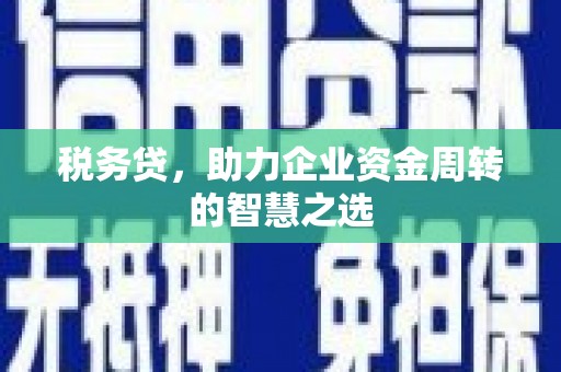 新屋税务贷，助力企业资金周转的智慧之选
