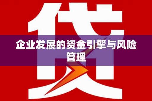 新屋企业发展的资金引擎与风险管理