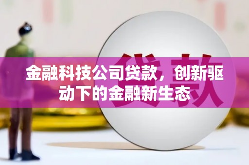 新屋金融科技公司贷款，创新驱动下的金融新生态