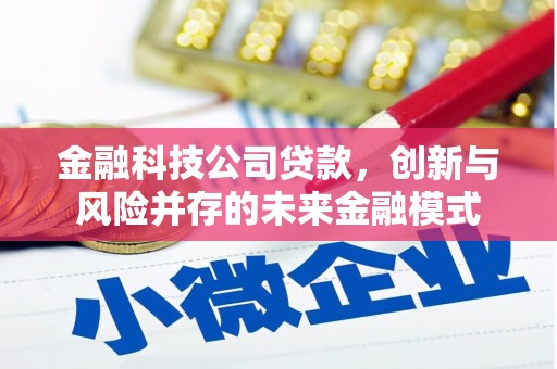 新屋金融科技公司贷款，创新与风险并存的未来金融模式