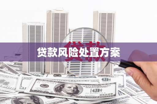 新屋贷款风险处置方案