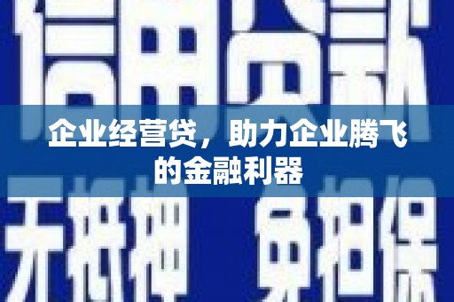 新屋企业经营贷，助力企业腾飞的金融利器
