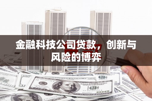 新屋金融科技公司贷款，创新与风险的博弈