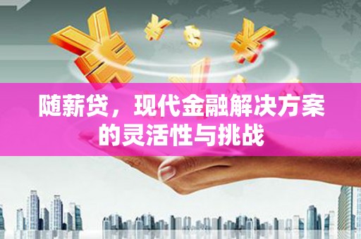新屋随薪贷，现代金融解决方案的灵活性与挑战