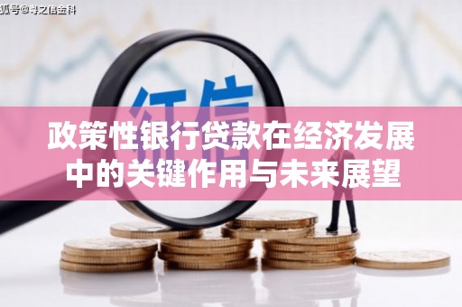 新屋政策性银行贷款在经济发展中的关键作用与未来展望