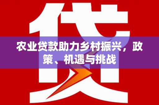 新屋农业贷款助力乡村振兴，政策、机遇与挑战