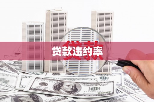 新屋贷款违约率