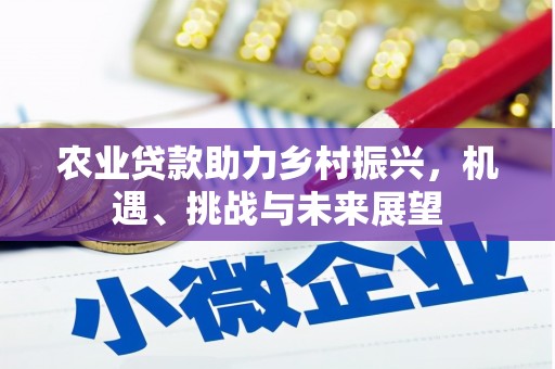 新屋农业贷款助力乡村振兴，机遇、挑战与未来展望