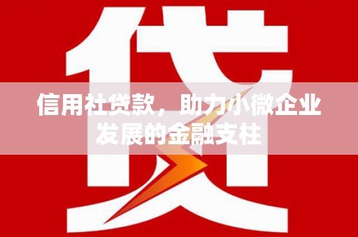 新屋信用社贷款，助力小微企业发展的金融支柱