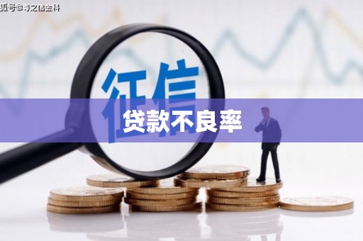 新屋贷款不良率