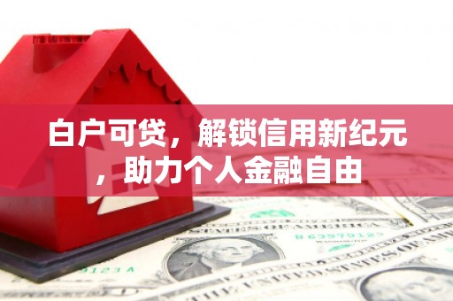新屋白户可贷，解锁信用新纪元，助力个人金融自由