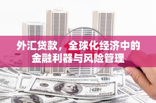 新屋外汇贷款，全球化经济中的金融利器与风险管理