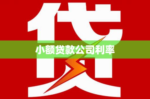 新屋小额贷款公司利率