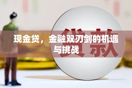 新屋现金贷，金融双刃剑的机遇与挑战