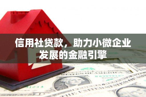 新屋信用社贷款，助力小微企业发展的金融引擎