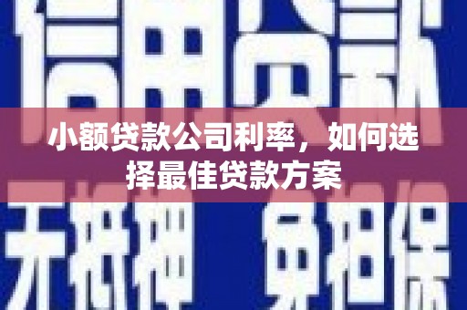 新屋小额贷款公司利率，如何选择最佳贷款方案