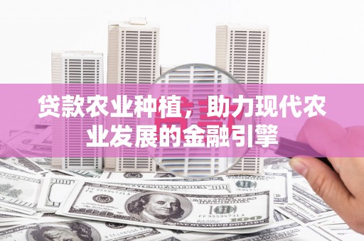 新屋贷款农业种植，助力现代农业发展的金融引擎