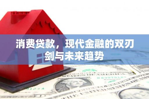 新屋消费贷款，现代金融的双刃剑与未来趋势