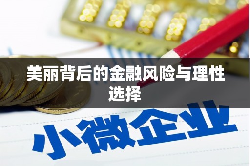 新屋美丽背后的金融风险与理性选择