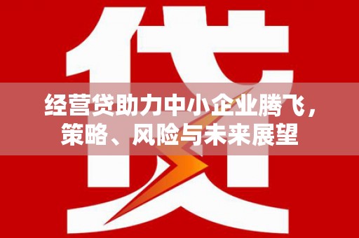 新屋经营贷助力中小企业腾飞，策略、风险与未来展望