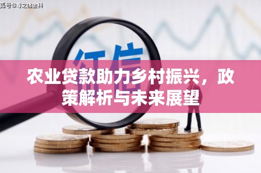 新屋农业贷款助力乡村振兴，政策解析与未来展望