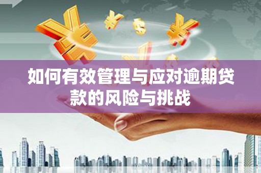 新屋如何有效管理与应对逾期贷款的风险与挑战
