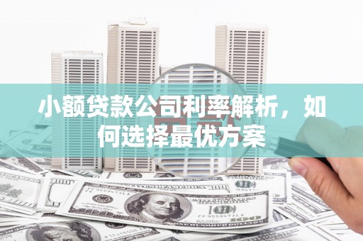 新屋小额贷款公司利率解析，如何选择最优方案