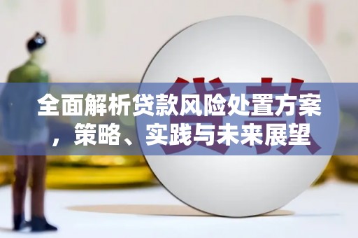 新屋全面解析贷款风险处置方案，策略、实践与未来展望