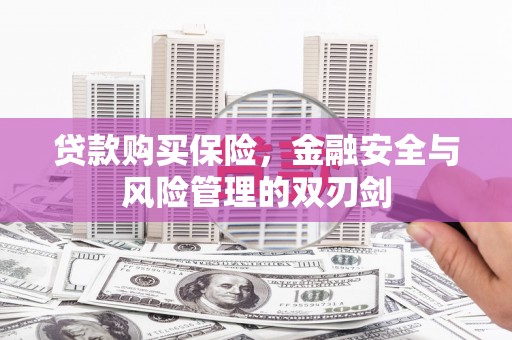 新屋贷款购买保险，金融安全与风险管理的双刃剑