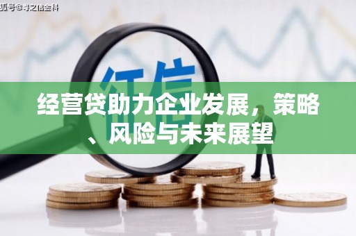 新屋经营贷助力企业发展，策略、风险与未来展望