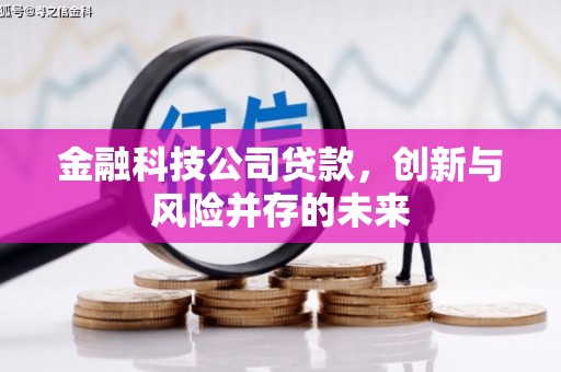 新屋金融科技公司贷款，创新与风险并存的未来