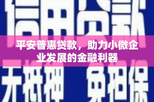 新屋平安普惠贷款，助力小微企业发展的金融利器