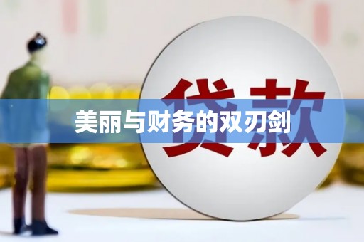 新屋美丽与财务的双刃剑