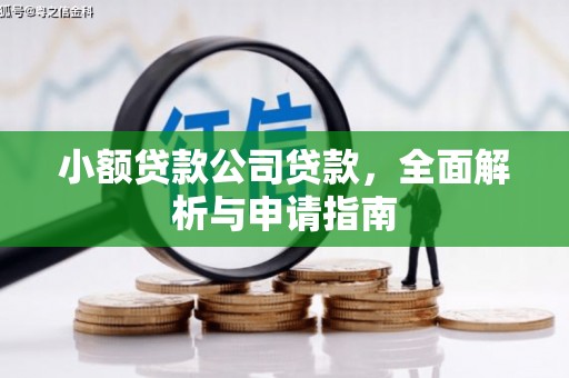 新屋小额贷款公司贷款，全面解析与申请指南