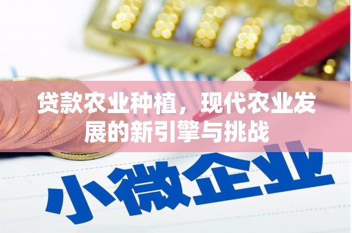 新屋贷款农业种植，现代农业发展的新引擎与挑战