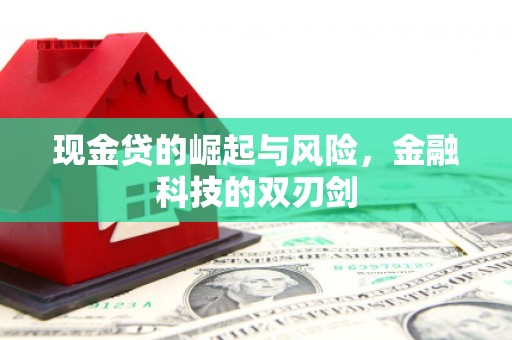 新屋现金贷的崛起与风险，金融科技的双刃剑