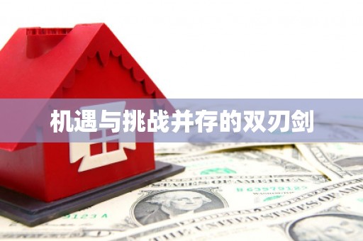 新屋机遇与挑战并存的双刃剑