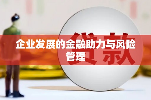 新屋企业发展的金融助力与风险管理