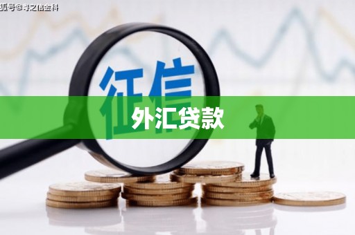 新屋外汇贷款