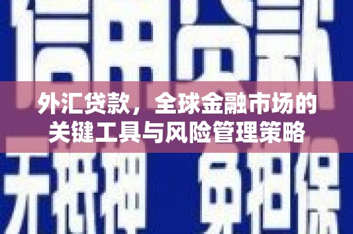 新屋外汇贷款，全球金融市场的关键工具与风险管理策略
