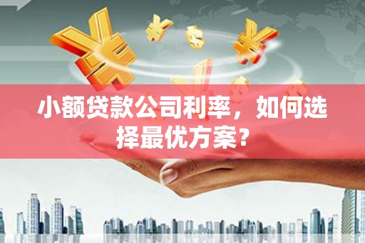 新屋小额贷款公司利率，如何选择最优方案？