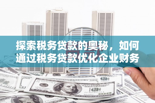 新屋探索税务贷款的奥秘，如何通过税务贷款优化企业财务