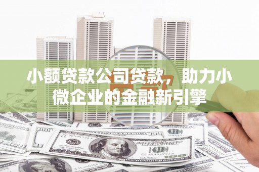 新屋小额贷款公司贷款，助力小微企业的金融新引擎